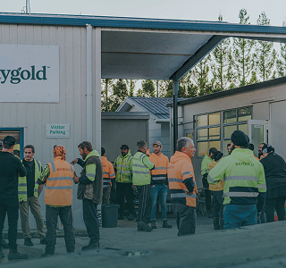 Harvest operations across a Baygold orchard